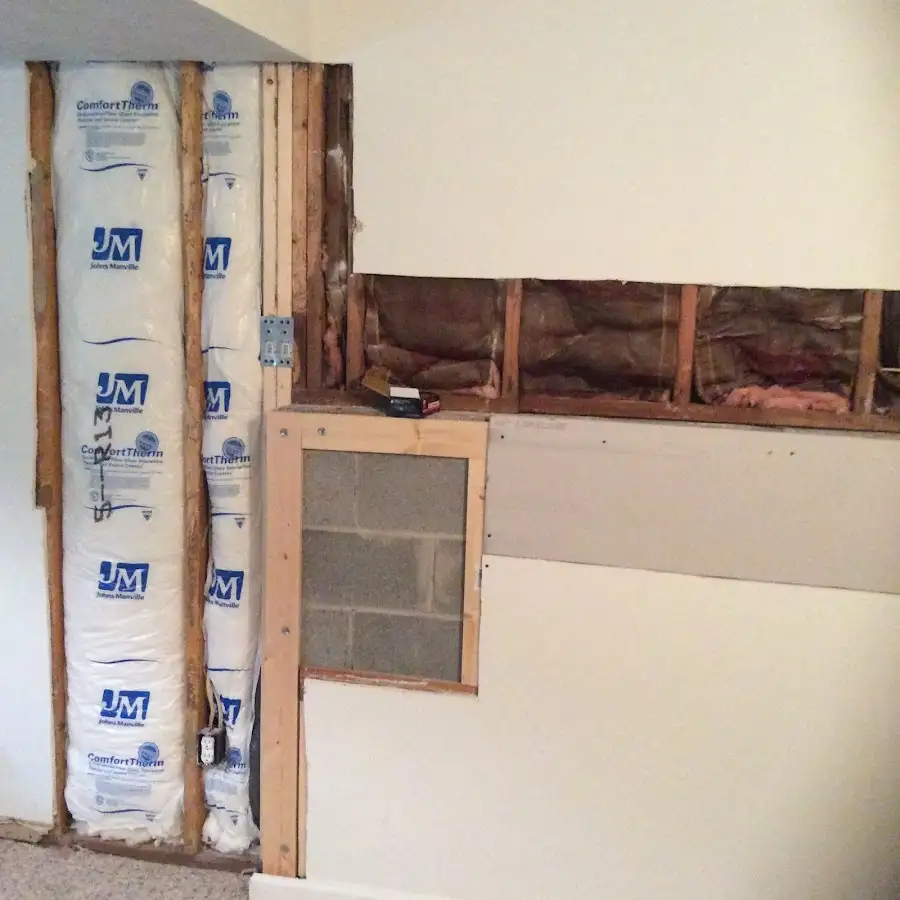 Wall insulation replacement during Odor Removal & Deodorization in June Park